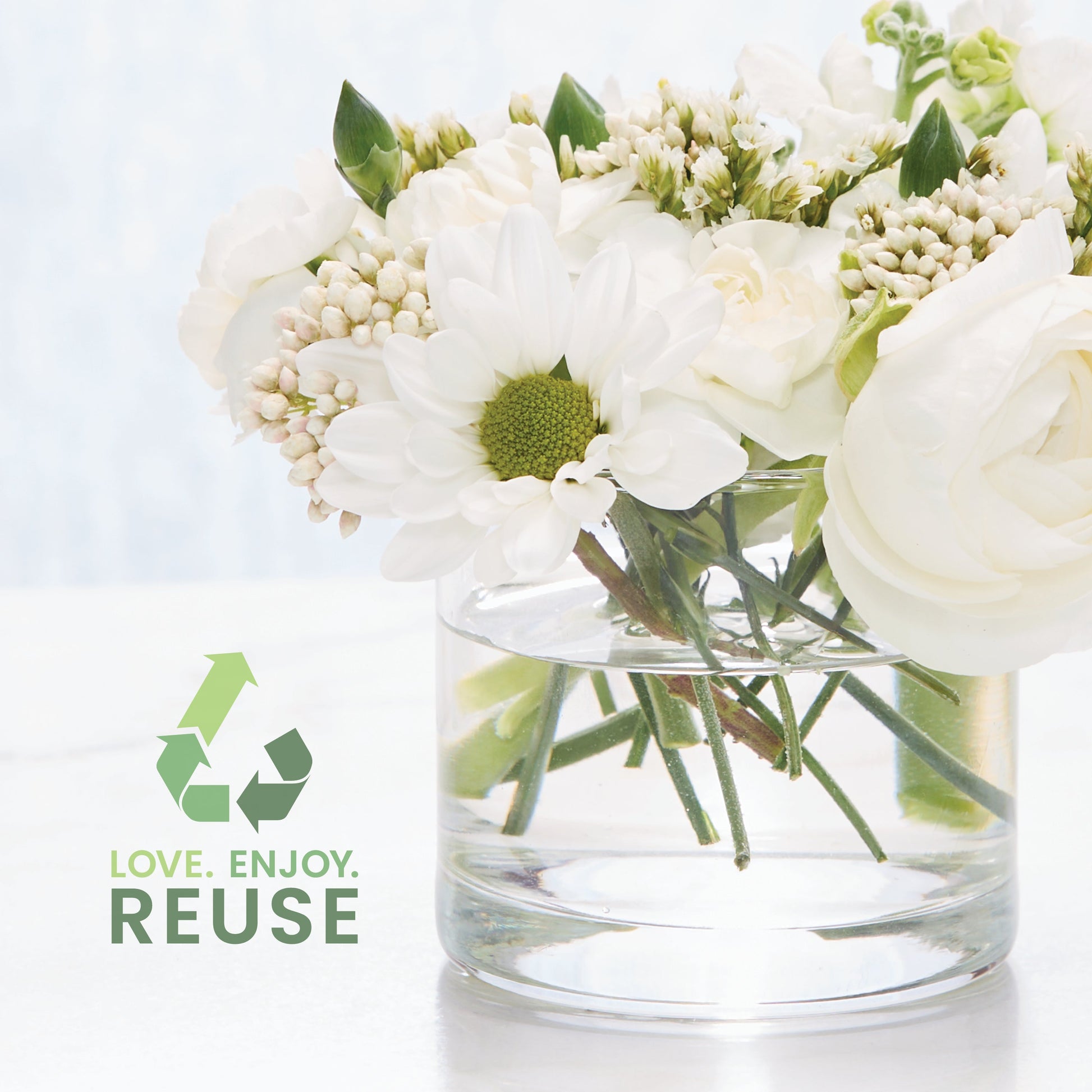Whimsical Water Lily