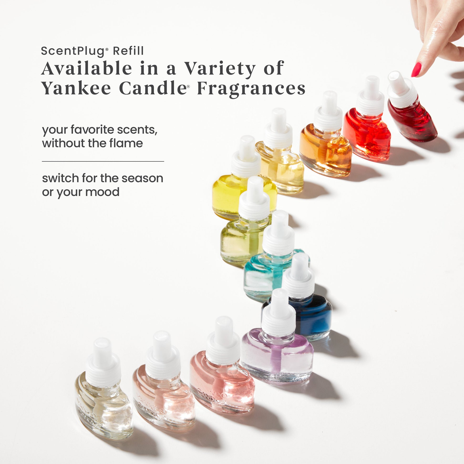 Bayside Cedar